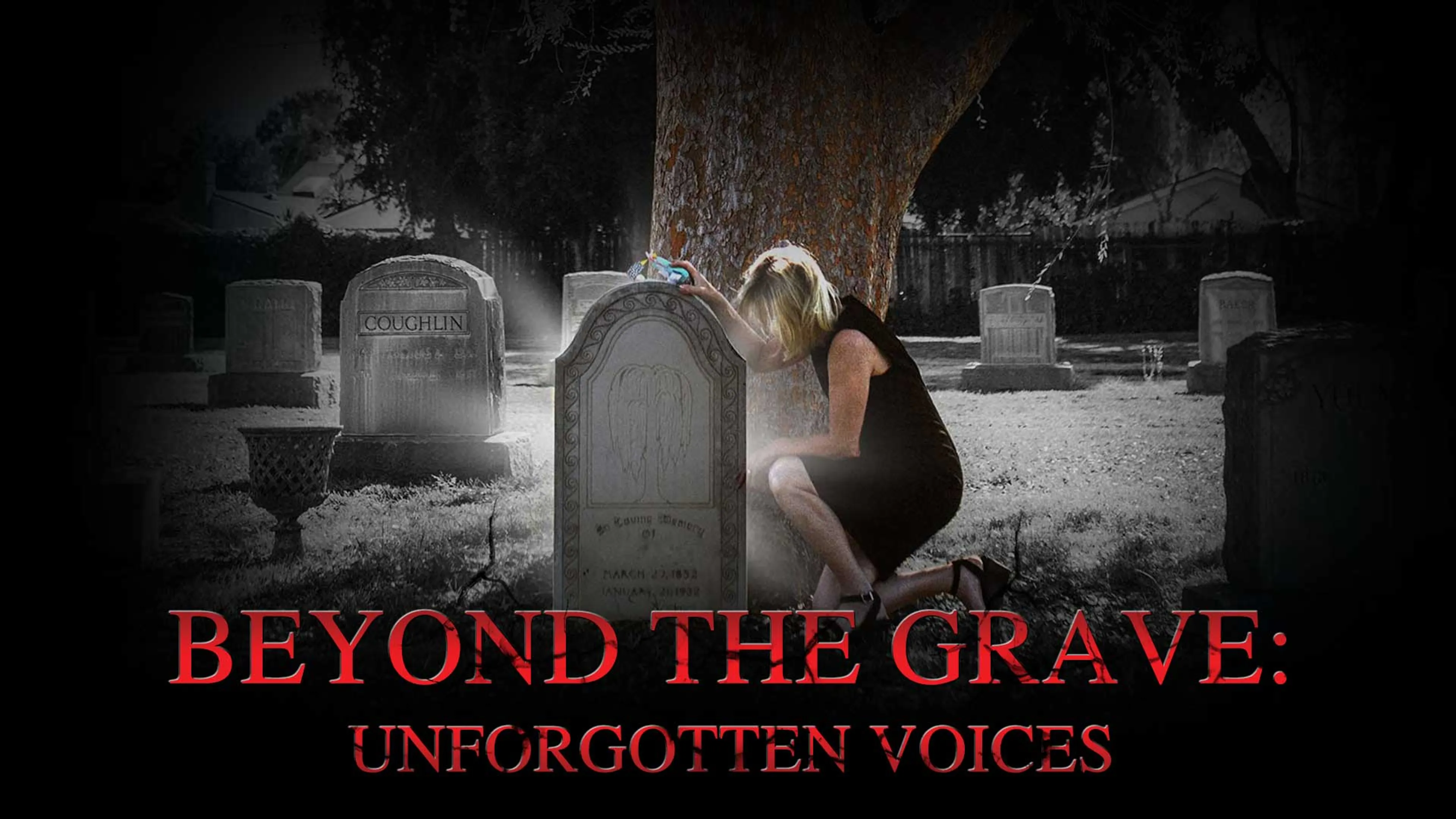 Beyond The Grave: Unforgotten Voices poster
